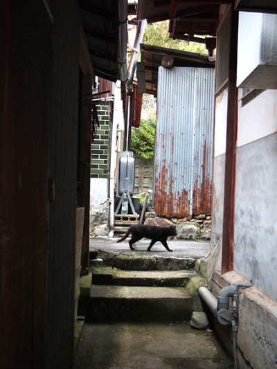 20170209_okinosima14.jpg