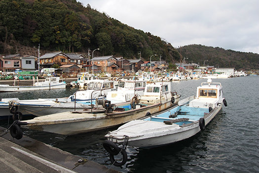 20170209_okinosima5.jpg