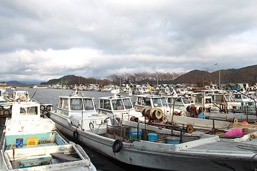 20170209_okinosima6.jpg