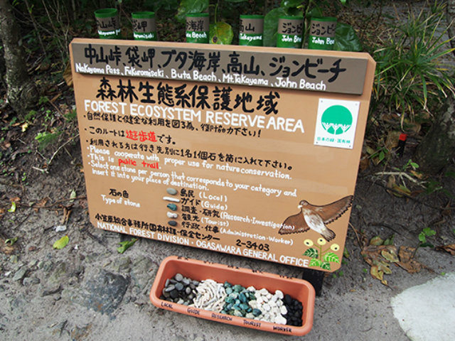 20170406_chichizima2_4.jpg