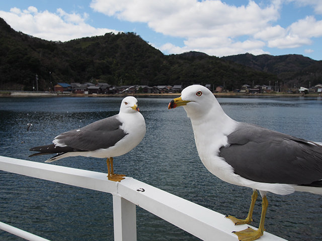 20170420_ine13.jpg