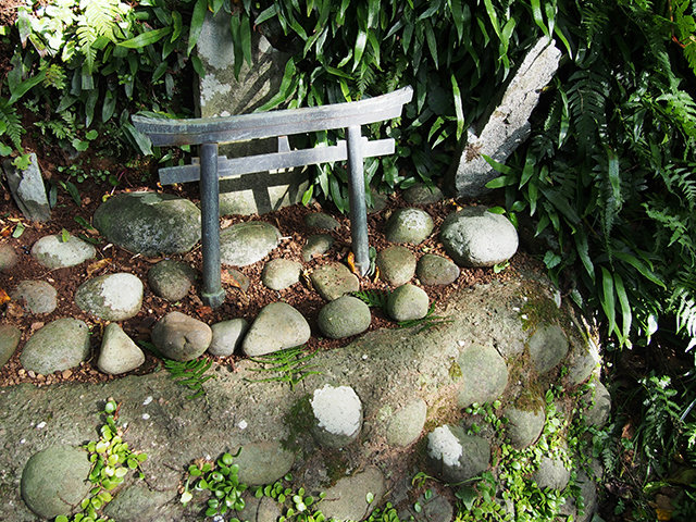 20170511_mikura5.jpg