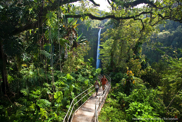 初心者におすすめのハワイ島トレイルベスト3 Mylohas