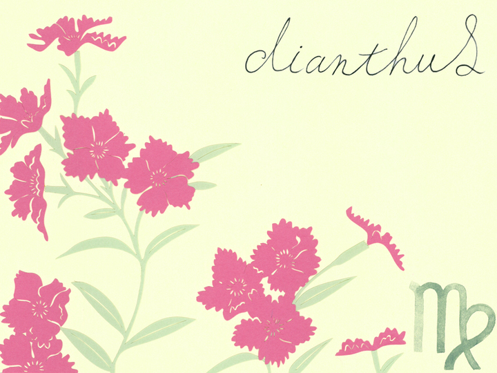 17年6月の運勢 To Ruから なでしこ おとめ座 のあなたへ愛のメッセージ Mylohas