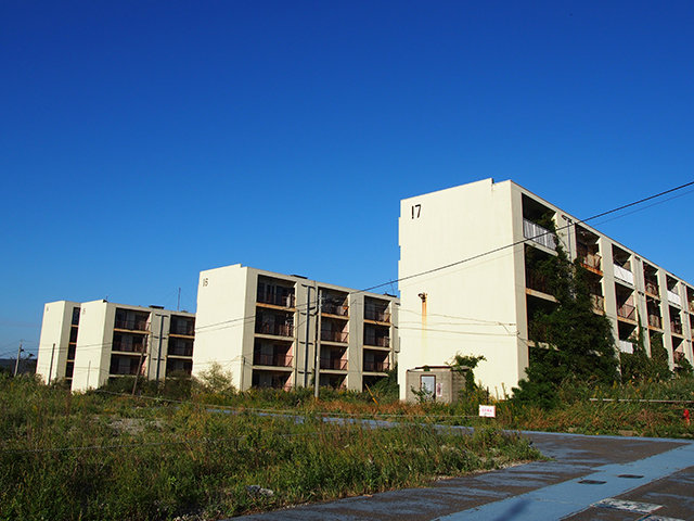 20170824_ikesima11.jpg