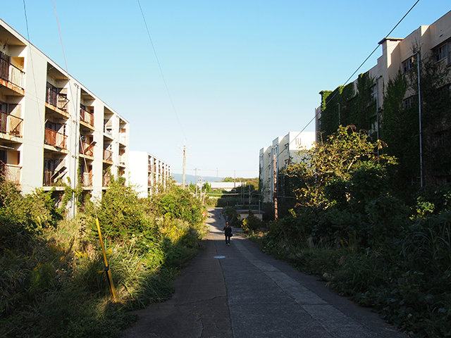 20170824_ikesima12.jpg