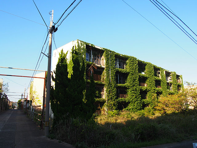 20170824_ikesima13.jpg