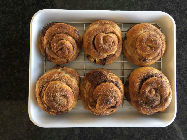 20171010_cinnamon8.jpg