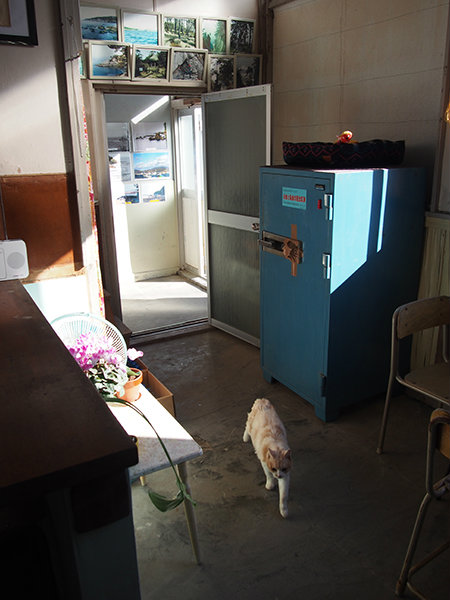 20171102_tashirojima11.jpg