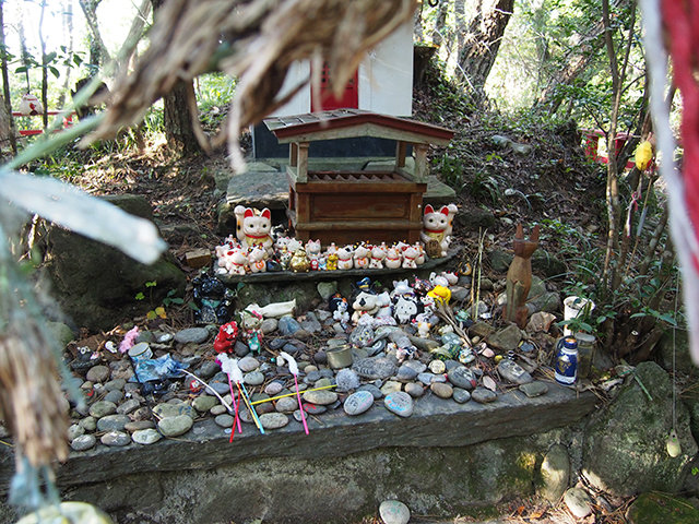 20171102_tashirojima12.jpg