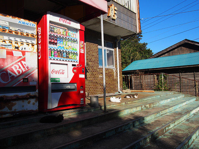 20171102_tashirojima15.jpg