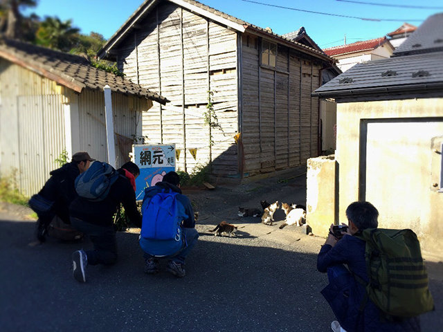 20171102_tshirojima8.jpg