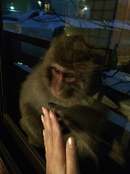 20171228_monkey11.jpg