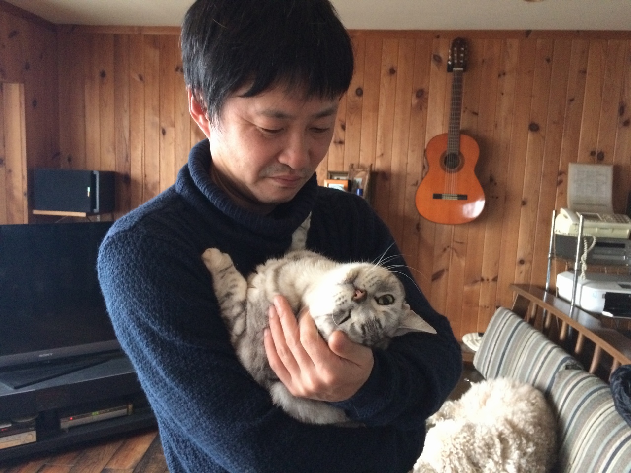 アイドル猫と戯れた 逗子猫日記 Mylohas