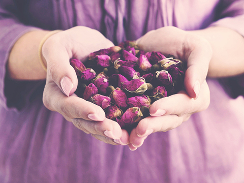 花粉や風邪 肌荒れの悩みを和らげるハーブとは Mylohas