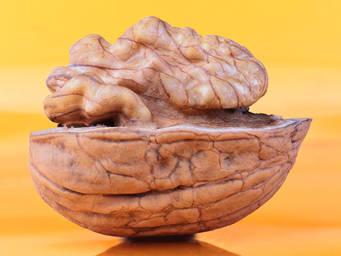 年を重ねるにつれて摂取したい!「脳にいい食べ物」6つ