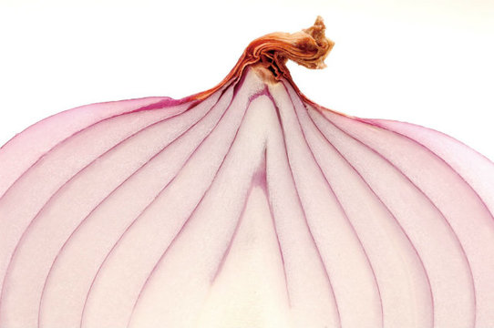 24時間 肌に負担をかけない Shiro のサンケアローション Mylohas