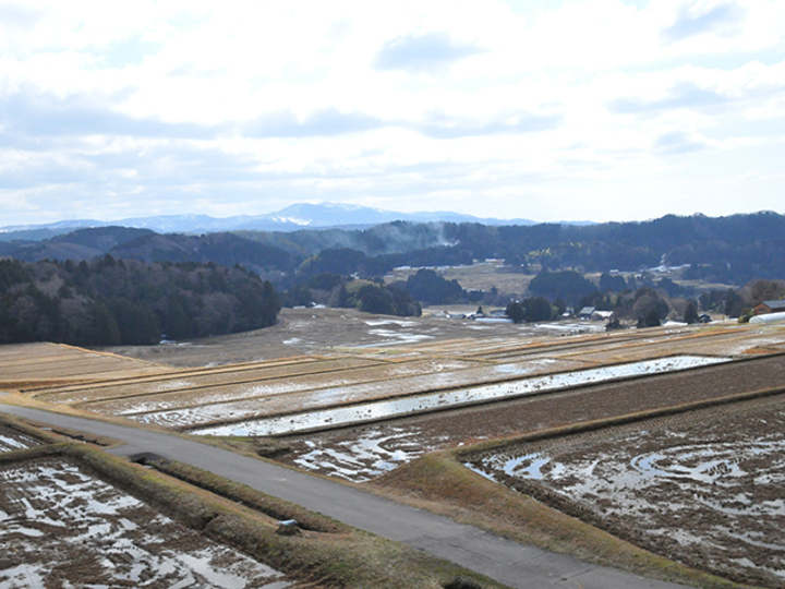20180328_sakui_top