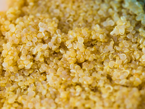 スーパーフードで簡単チャーハン Kellyボディを作る卵レシピ編 Mylohas