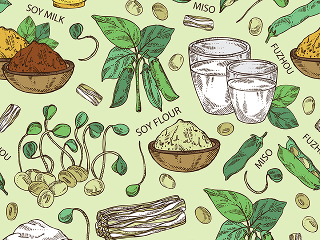 20180511_plant-based-food