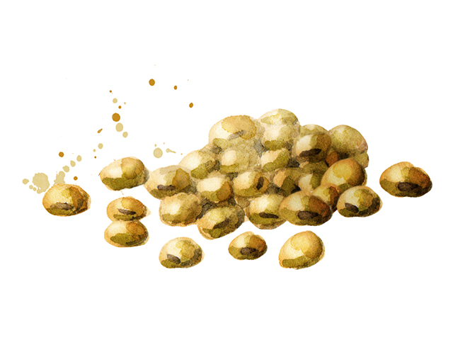 20180518_soybeans_1