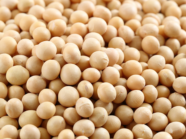 20180518_soybeans_2