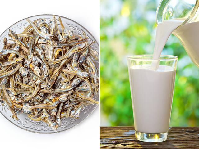 which_food_04