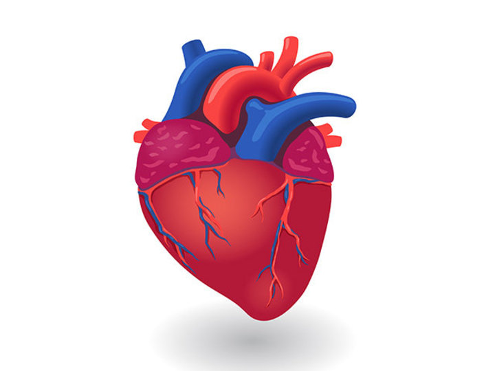 サインを見逃さないで。心臓病を防ぐ、10の身近な方法