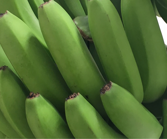 20180707_banana_4