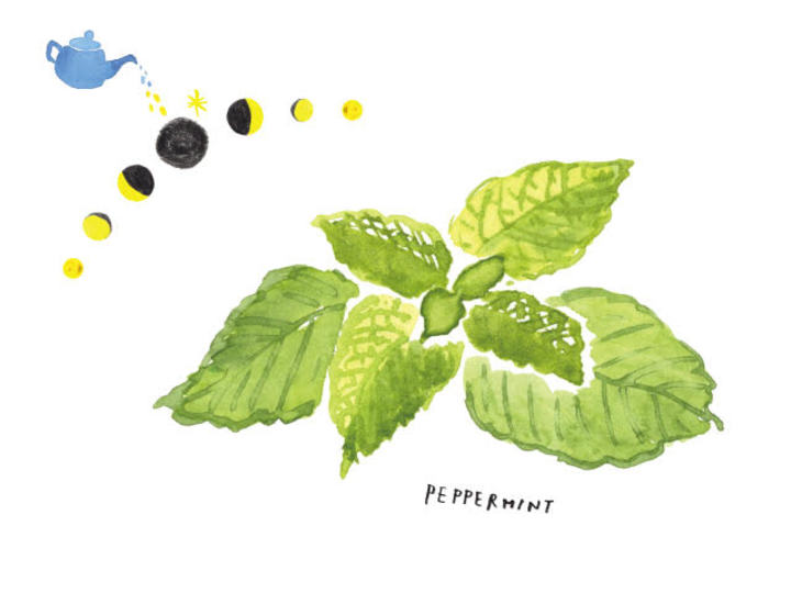 【7月の新月】自分を知るための特別なタイミング