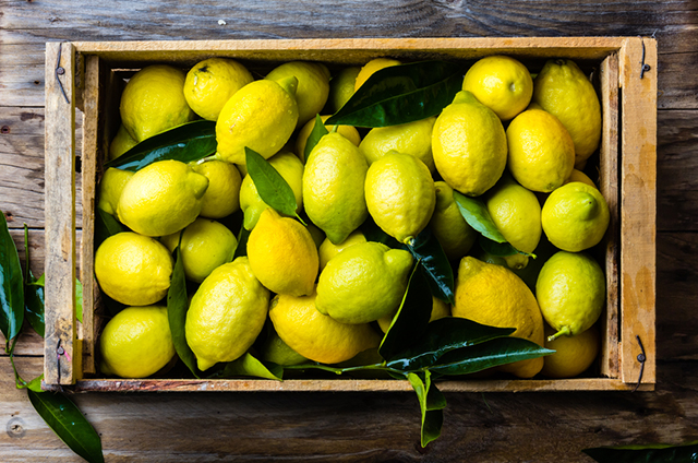 201807_lemon_4