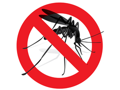 無視してはいけない5つの虫さされ......場合によっては病院で診てもらいましょう