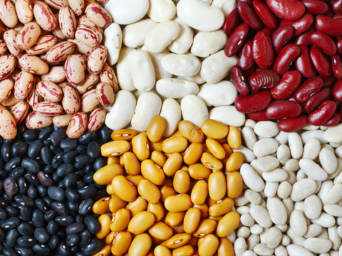 豆を食べるほど、あらゆる病気のリスクが下がって長生きするらしい