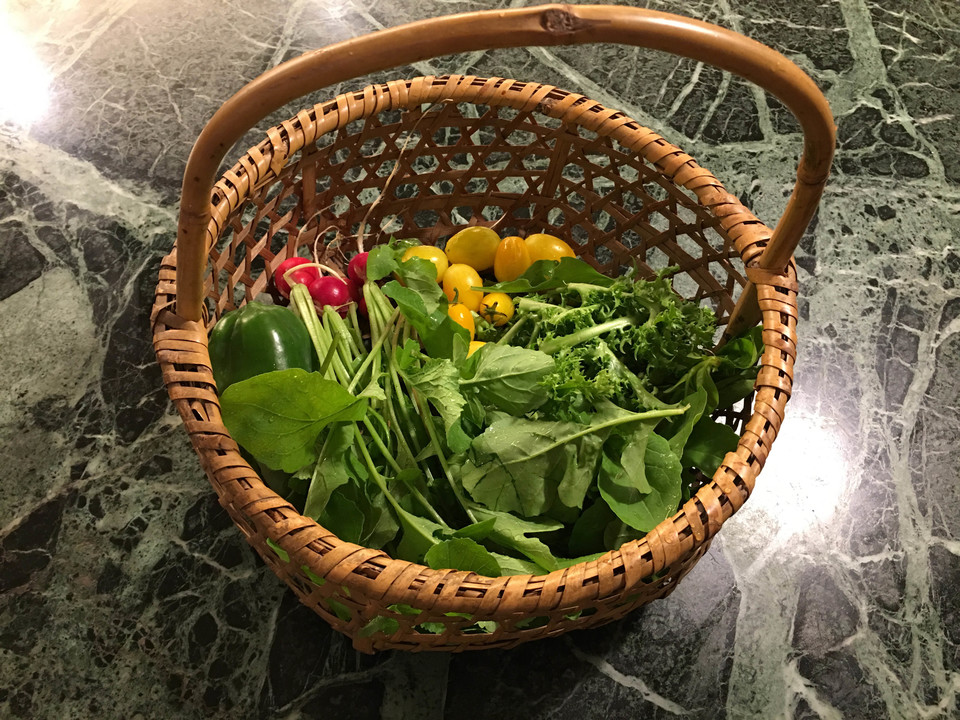 野菜