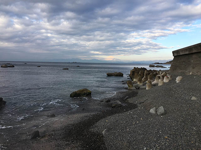 海