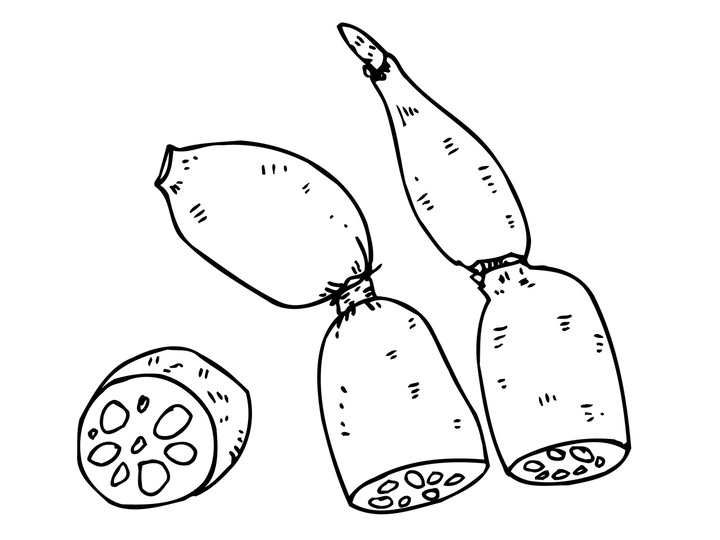 れんこん