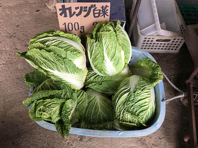 20180127_kogure_02