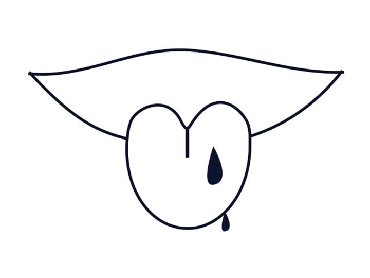 ha2