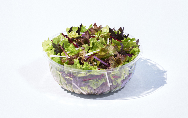 100%オーガニック 野菜サラダ