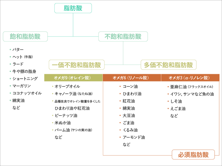 油の分類の図