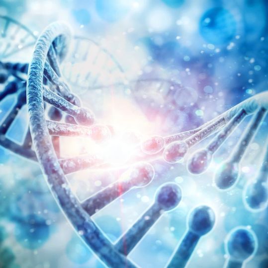DNA