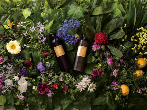 本格的なオーガニックヘアケアを手軽に。世界基準に則ったリーズナブルアイテム【プレゼント】