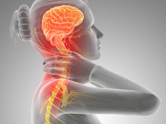 疲労回復の権威が教える｢疲れ｣のとり方。ほぐすべきは肩より脳!