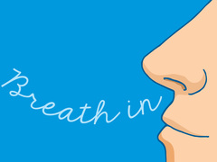 高性能「空気清浄機」のような働きをする体のある部分ってどこ?