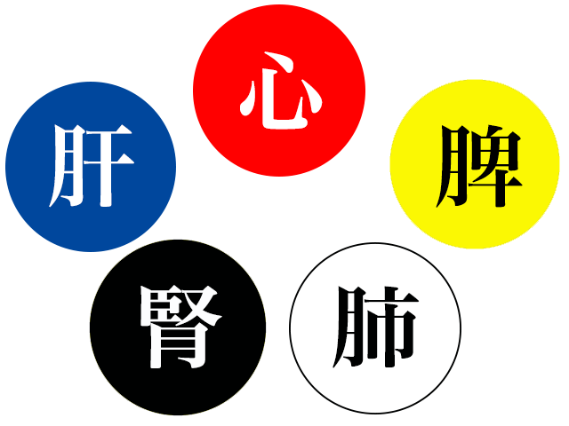 五臓