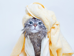 体によいお風呂活用術。疲れや自律神経が整う!?