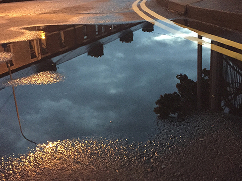 雨上がりの花粉 に要注意 従来の花粉対策にプラスするといいもの Mylohas