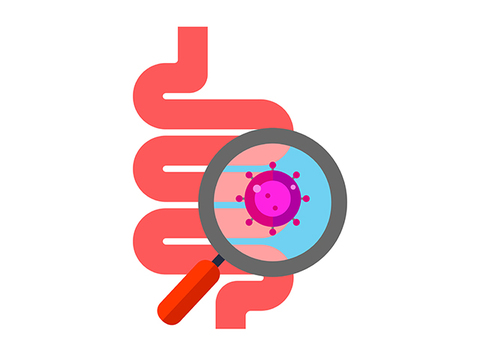 いま注目すべき菌とは？ 腸活の真実