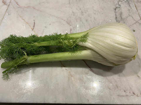 フェンネルとせとかのコンビネーション こぐれひでこの ごはん日記 Mylohas