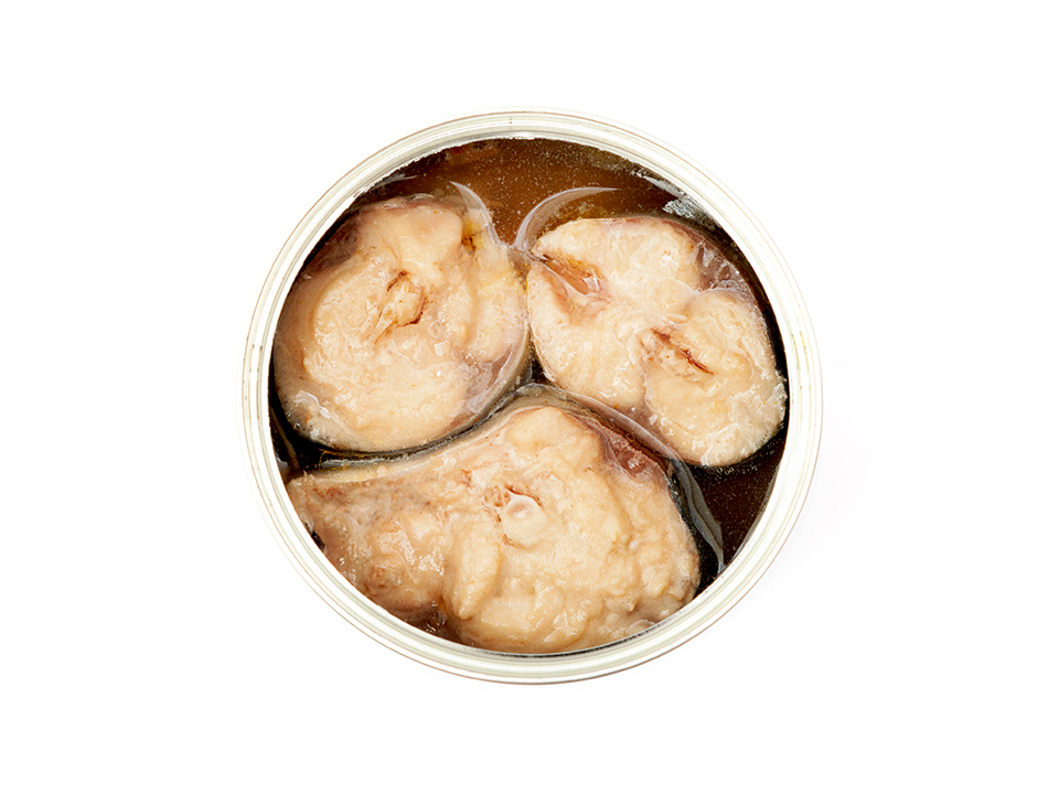 サバ缶